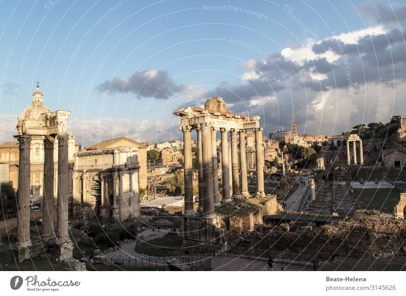 Forum Romanum Wolken Bauwerk Gebäude Mauer Wand Säule Wahrzeichen Stein Zeichen Ruine Altertum alt ästhetisch außergewöhnlich Bekanntheit fantastisch historisch