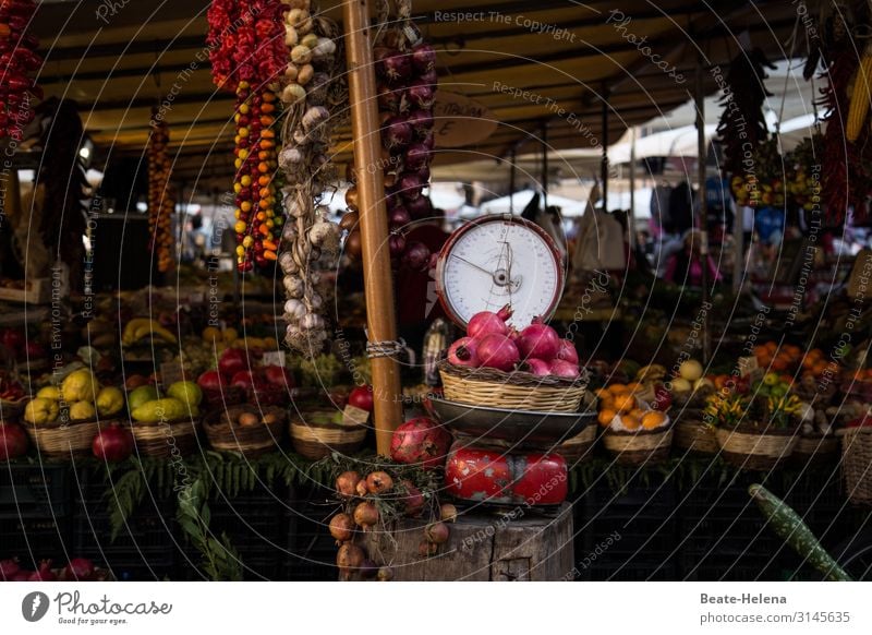 Verlockende Köstlichkeiten 7 Markt Gemüse Marktstand Obst Zwiebeln Knoblauch Obst- oder Gemüsestand Bioprodukte Gesundheit lecker Menschenleer Waage