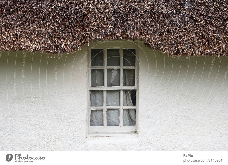 Fenster eines englischen cottages. Sommer Wetter Fachwerkhaus Fassade wand Klettenpflanzen Landsitz England Schottland Mauerwerk framework Wohnung Behausung