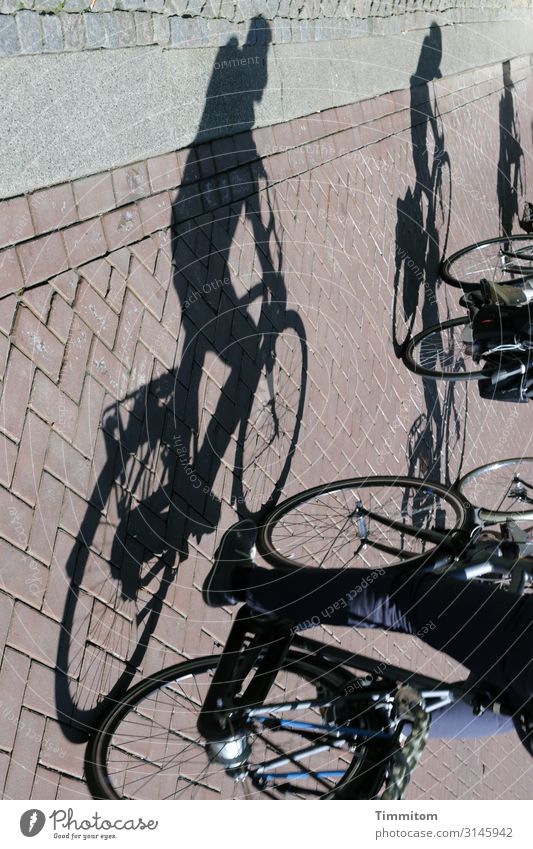 Dynamisch | mit Schatten und Dynamo Fahrrad Fahrradfahren Straße Pflastersteine Fahrradweg Fahrraddynamo 3 Verkehr Verkehrswege Mobilität
