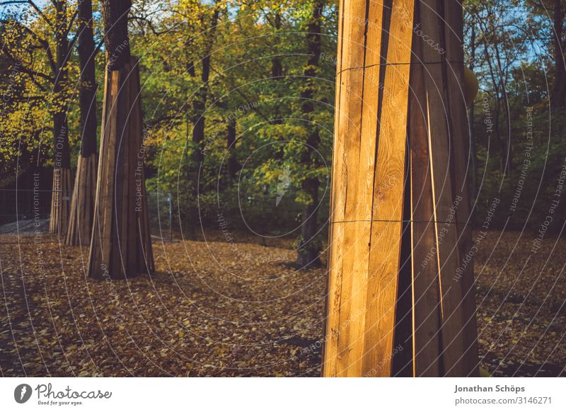 Bäume im Herbstwald vor einer Baustelle beschützt Abendsonne Achtsamkeit Außenaufnahme Besinnung Chemnitz Jahreszeit Laub Oktober Outdoor Ruhe Sonnenlicht
