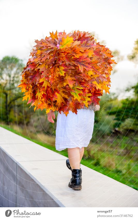 Der Herbst ist bunt Stil Mensch Kind Kleinkind Mädchen 1 3-8 Jahre Kindheit Kleid Regenschirm Stiefel gehen laufen Coolness mehrfarbig Schirm herbstlich