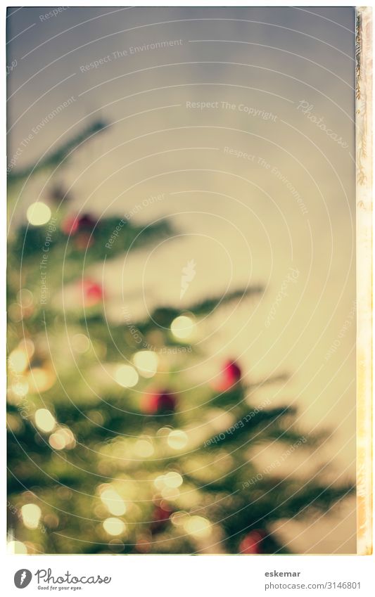 christmas tree, defocused Häusliches Leben Wohnung Innenarchitektur Dekoration & Verzierung Raum Wohnzimmer Feste & Feiern Weihnachten & Advent Baum