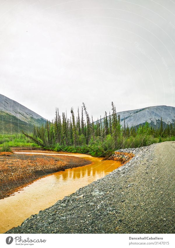 Landschaftsbild eines Flusses entlang einer Schotterstraße Yukon Dempster Highway Hügel Berge u. Gebirge Wald Straße Wildnis Tombstone National Park Schotterweg