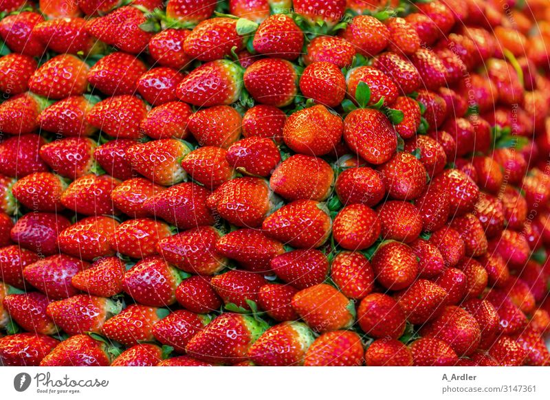 reife Erdbeeren im Stapel satt Lebensmittel Ernährung Büffet Brunch Festessen Geschäftsessen Bioprodukte Vegetarische Ernährung Diät Slowfood Fingerfood
