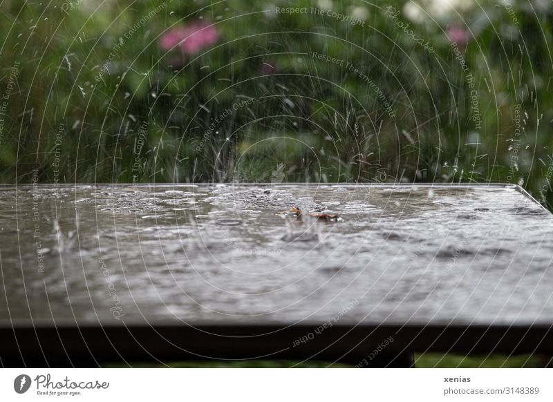 Tisch mit Regentropfen im Garten Wasser Wassertropfen Frühling Sommer Klima Wetter schlechtes Wetter Grünpflanze Park nass braun grün rosa spritzen Nahaufnahme