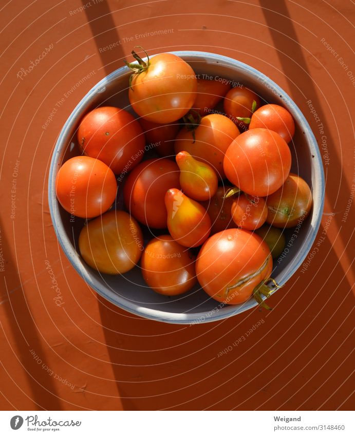 Tomaten Lebensmittel Gemüse Salat Salatbeilage Ernährung Büffet Brunch Bioprodukte Vegetarische Ernährung Slowfood Schalen & Schüsseln Gesundheit Umwelt