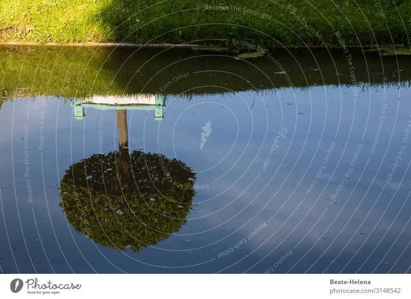 wassernaher Kopfstand Baum Fluss Sommer Wasserspiegelng schönes Wetter kontemplativ Ruhe Spiegelung Yoga Natur Außenaufnahme Reflexion & Spiegelung Idylle