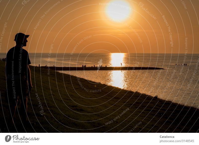 Silhouette eines Mannes beim betrachten wie die Sonne untergeht androgyn 1 Mensch Menschengruppe Umwelt Natur Urelemente Wasser Wolkenloser Himmel Horizont