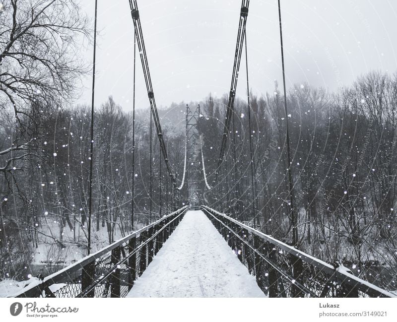 Winterbrücke Umwelt Natur Klima Wetter Schnee Schneefall Baum Park Kleinstadt Brücke Metall Stahl Coolness fantastisch schön natürlich Originalität grau schwarz
