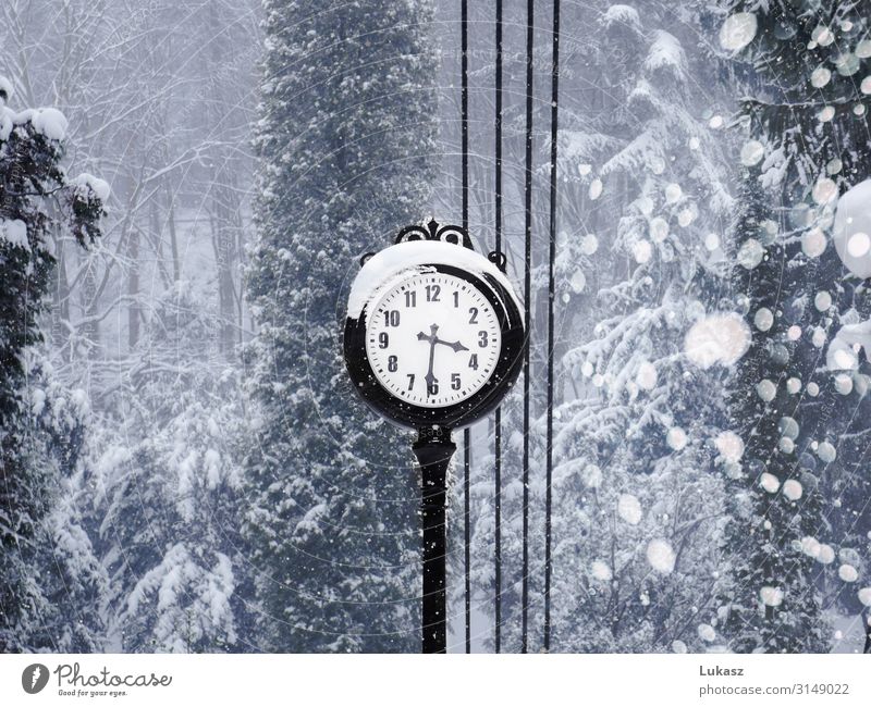 Winterzeit - Uhr Wetter Eis Frost Schnee Schneefall Park Kleinstadt elegant entdecken Inspiration Kunst Nostalgie schön Zeit Tag Licht Schwache Tiefenschärfe