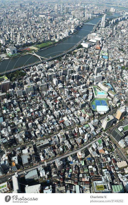 Noch mehr Klötzchen und eine Schlange Tokyo Japan Asien Hauptstadt Stadtzentrum Haus Hochhaus Stein Beton Wasser außergewöhnlich Coolness elegant gigantisch