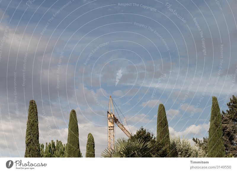 Bäume und Kran Gewächse hoch grün Kranturm Metall technik Himmel blau Wolken schön sanft Farbtöne Außenaufnahme Farbfoto rosa