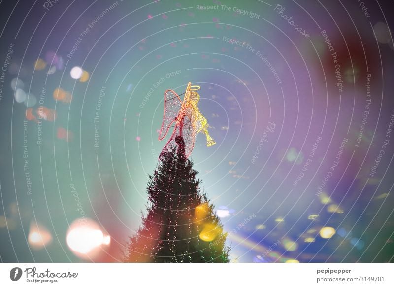 riesiger Weihnachtsbaum Winter Weihnachten & Advent Handel androgyn Veranstaltung Musik Dortmund Stadt Stadtzentrum Sehenswürdigkeit Wahrzeichen Kleid
