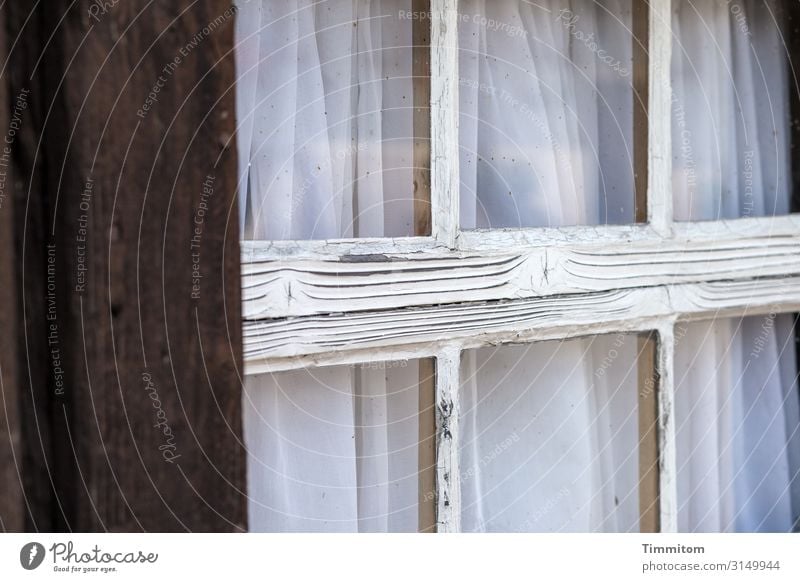 Schwarzwälder Sprossenfenster Ferien & Urlaub & Reisen Häusliches Leben Haus Bauernhof Fenster Holz Glas alt kaputt blau schwarz weiß Gefühle Schwarzwald