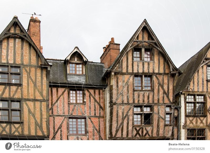 Entlang der Loire 5 Frankreich Gebaüde historisch alt Fachwerkhaus Gebäude Architektur Fassade Altstadt Außenaufnahme Ferien & Urlaub & Reisen Bauwerk