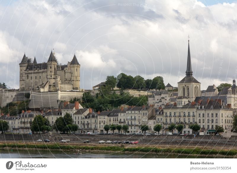 Entlang der Loire 2 Frankreich Stadt Schloss Fluss Außenaufnahme Architektur historisch Gebäude Tourismus Ferien & Urlaub & Reisen Wahrzeichen Sehenswürdigkeit