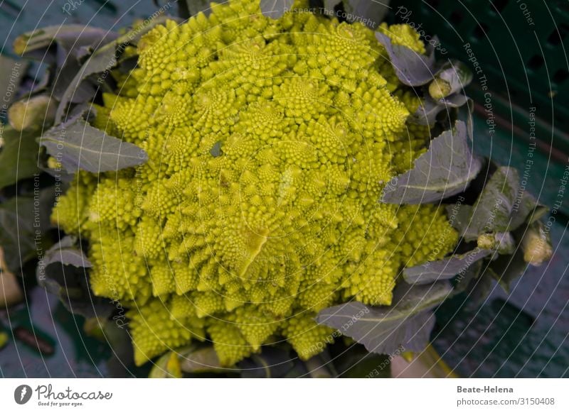 Verlockende Köstlichkeiten 6 Romanesco-Blumenkohl Kunstwerk Gemüse vegan Lebensmittel Bioprodukte Ernährung