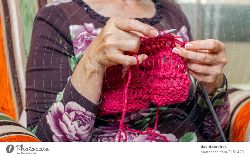 Hände einer Frau, die einen Wollpullover strickt Design Erholung Freizeit & Hobby Basteln Handarbeit stricken Wohnzimmer Arbeit & Erwerbstätigkeit Handwerk