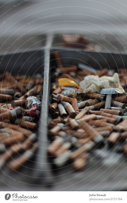 Kippen Müll abgebrannt Hamburg Rauchen dreckig Umweltverschmutzung Zigarette Zigarettenstummel Aschenbecher Farbfoto Außenaufnahme Tag Zentralperspektive
