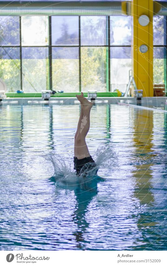 Sprung ins kalte Wasser sportlich Fitness Leben Schwimmbad Schwimmen & Baden Freizeit & Hobby Wellen Sport Sport-Training Sportler Sportstätten