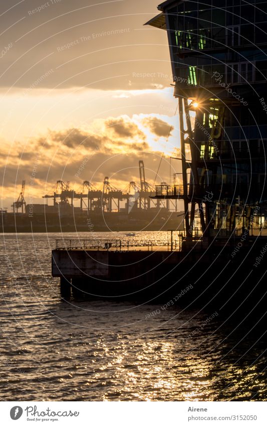 Feierabendstimmung | UT Hamburg Schiffswerft Werftkran Wasser Sonnenaufgang Sonnenuntergang Sonnenlicht Hafenstadt Schifffahrt Arbeit & Erwerbstätigkeit