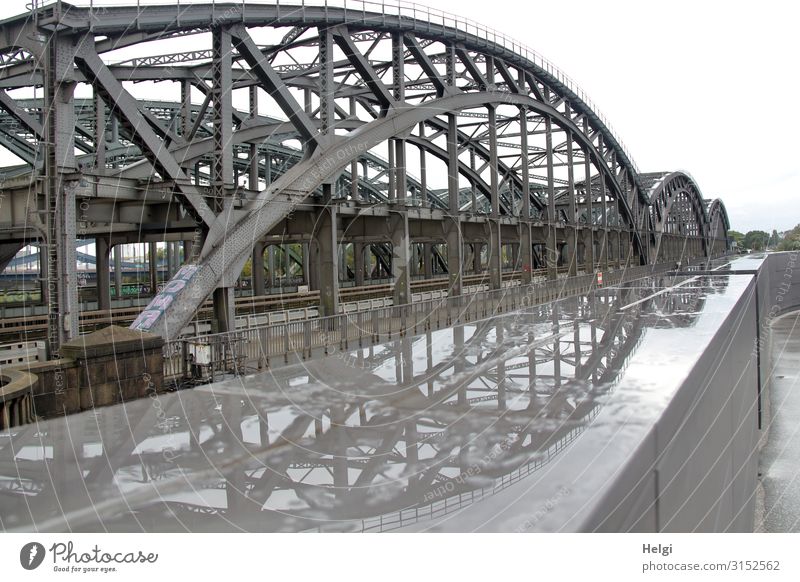 Metallkonstruktion der Elbbrücken in Hamburg mit Spiegelung in einer Pfütze Brücke Bauwerk Architektur Verkehrswege Personenverkehr Güterverkehr & Logistik