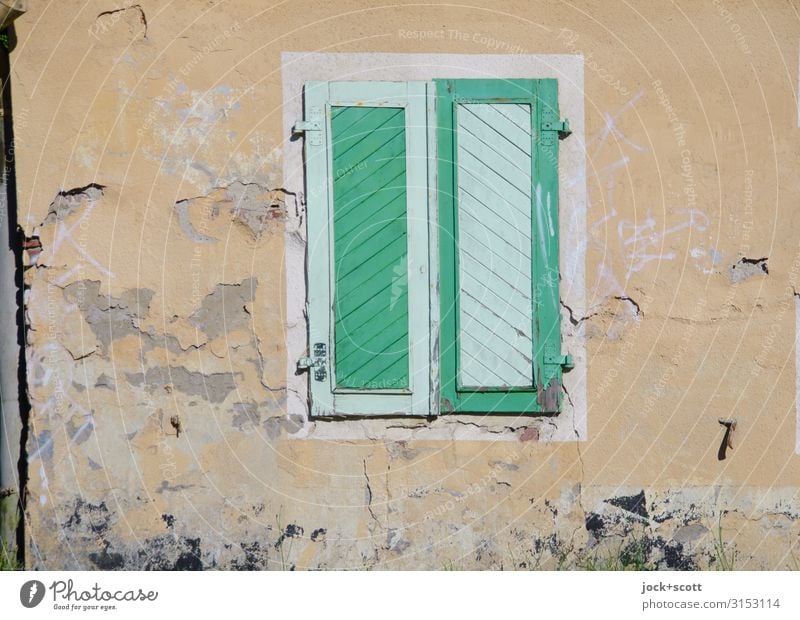 wohne grün Stil Altbau Wand Fensterladen Dekoration & Verzierung Holz Streifen außergewöhnlich eckig einzigartig positiv Wärme Schutz Farbe Inspiration