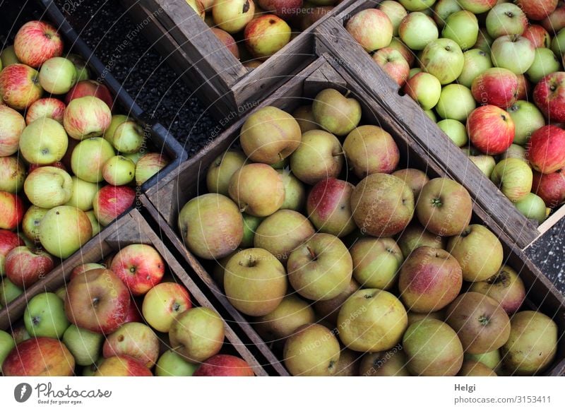 mehrere Kisten mit  verschiedenen frisch geernteten Äpfeln Lebensmittel Frucht Apfel Ernährung Bioprodukte Vegetarische Ernährung Holz liegen authentisch eckig