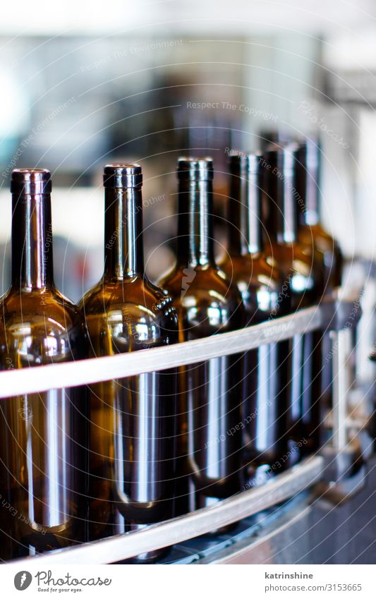 Glasflaschen in der Abfüllmaschine Flasche Industrie Technik & Technologie modern Weinherstellung Weingut Maschine Abfüllanlage automatisiert Förderband trinken