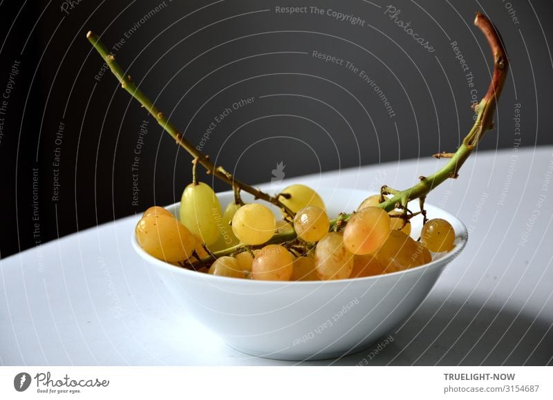 Süße Trauben Lebensmittel Frucht Weintrauben Ernährung Bioprodukte Vegetarische Ernährung Diät Dessert einfach frisch Gesundheit lecker natürlich süß gelb gold