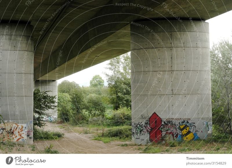 Welten Brücke Architektur Brückenkonstruktion Verkehrswege Graffiti Farben Beton Gebüsch grün Bäume Autobahn Bauwerk Wege & Pfade Menschenleer Schatten