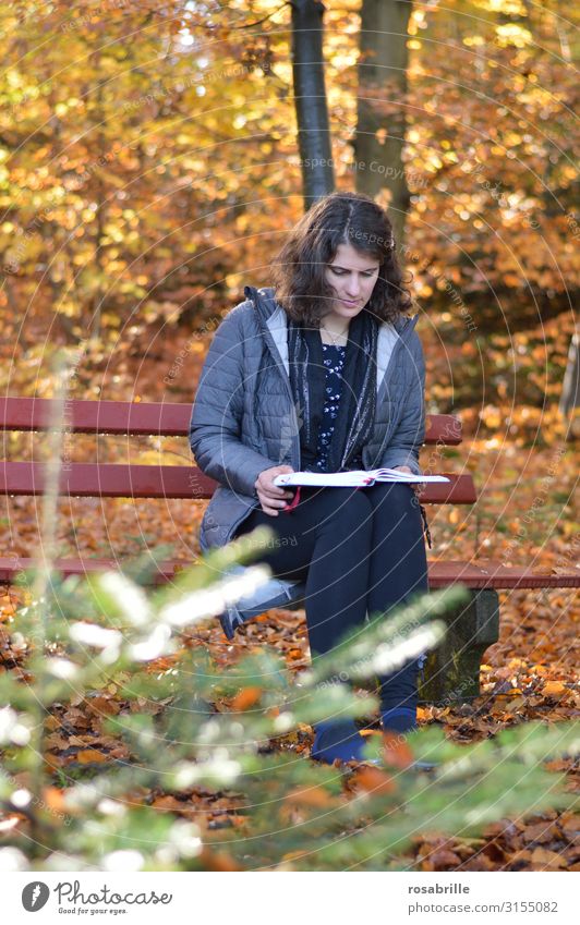 Lesepause im Herbst - Frau sitzt im Wald auf Bank im Herbst Erholung Freizeit & Hobby lesen Erwachsene Umwelt Natur Blatt fallen leuchten sitzen gelb orange
