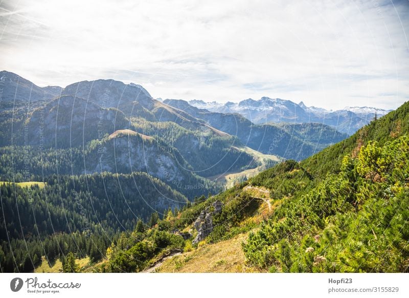 Alpen im Berchtesgadener Land Umwelt Natur Landschaft Pflanze Himmel Wolken Sonne Herbst Schönes Wetter Baum Gras Wald Felsen Berge u. Gebirge Gipfel