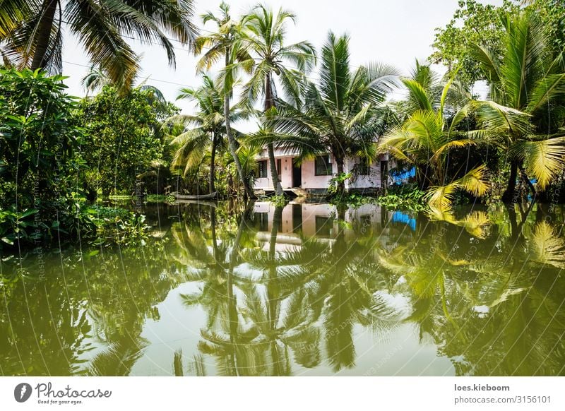 House in the Kerala backwaters Ferien & Urlaub & Reisen Tourismus Abenteuer Ferne Sightseeing Sommer Natur exotisch Küste Flussufer Haus entdecken Erholung