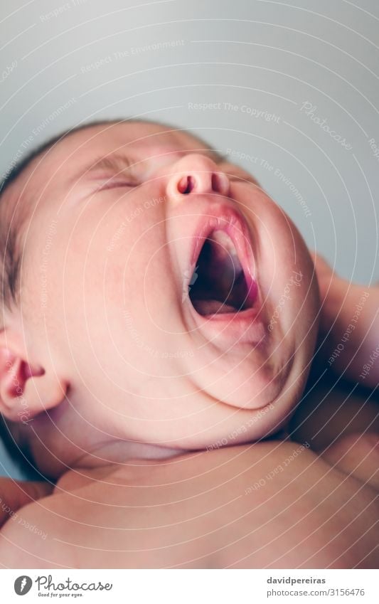 Nahaufnahme eines Neugeborenen, das gähnt Lifestyle schön Gesicht Erholung Kind Mensch Baby Frau Erwachsene Kindheit Mund schlafen authentisch klein neu