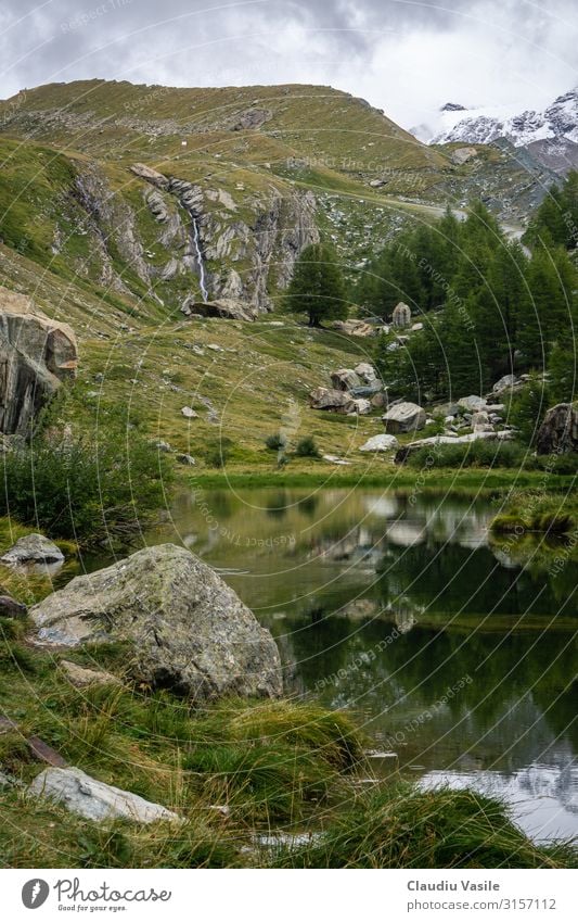 Grüner See an der Baumgrenze hoch in den Schweizer Alpen Ferien & Urlaub & Reisen Tourismus Abenteuer Sightseeing wandern Natur Landschaft Pflanze Wasser Wolken