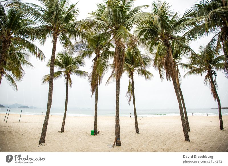 Copacabana Ferien & Urlaub & Reisen Tourismus Ferne Sightseeing Städtereise Landschaft Wolken Pflanze Küste Strand Bucht Stadt überbevölkert Erholung erleben