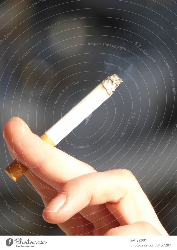 Rauch steigt auf... Zigarette Hand Frauenhand Filterzigarette rauchen halten gepflegt Laster Sucht Handhaltung Genusssucht Gesundheitsrisiko Suchtverhalten