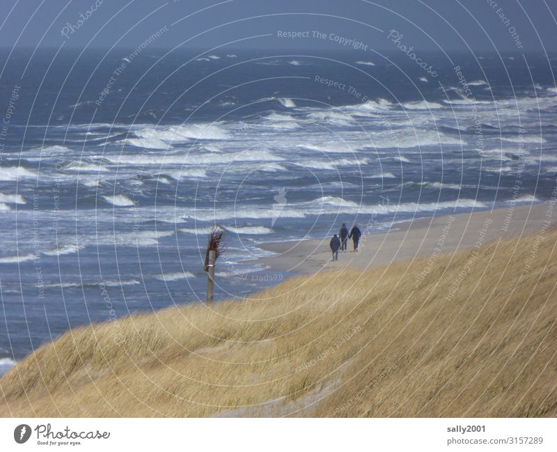 Sonntagsspaziergang... Mensch 3 Landschaft Dünengras Wellen Küste Strand Nordsee Meer Insel Erholung gehen wandern frei Gesundheit Zusammensein maritim