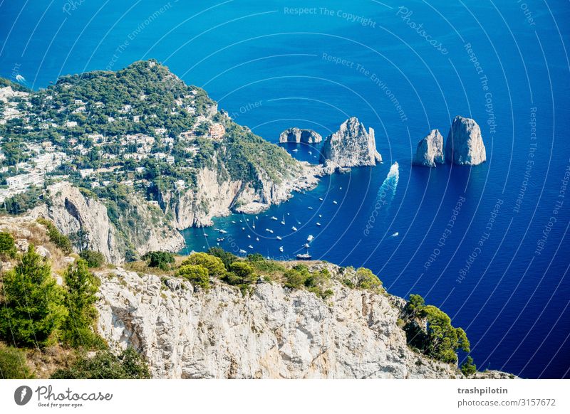 Capri Ferien & Urlaub & Reisen Tourismus Ausflug Abenteuer Ferne Freiheit Sightseeing Städtereise Kreuzfahrt Sommer Sommerurlaub Sonne Meer Insel Wellen Natur