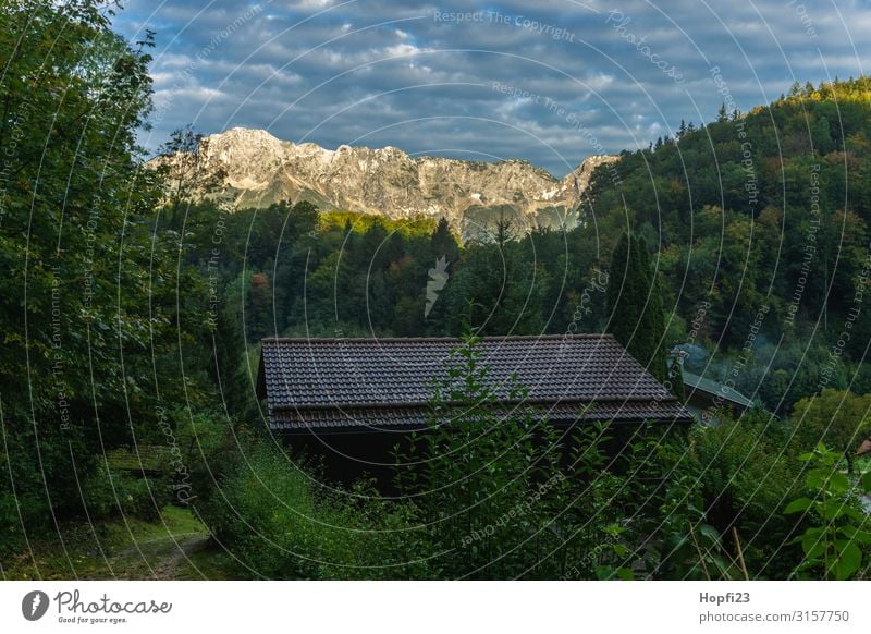 Alpen im Berchtesgadener Land Umwelt Natur Landschaft Pflanze nur Himmel Sonne Herbst Schönes Wetter Baum Wald Berge u. Gebirge Gipfel Hütte gehen laufen