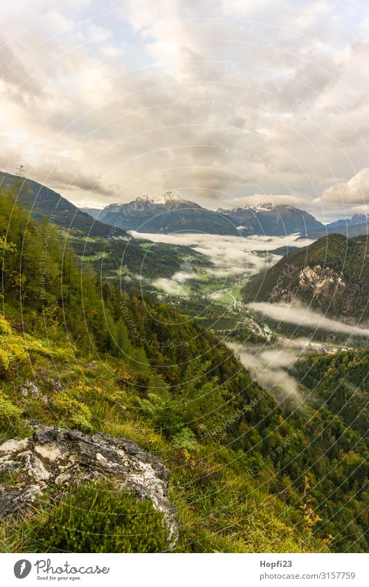 Alpen im Berchtesgadener Land Umwelt Natur Landschaft Pflanze Himmel Wolken Sonnenaufgang Sonnenuntergang Herbst Wetter Schönes Wetter Nebel Baum Gras Wald