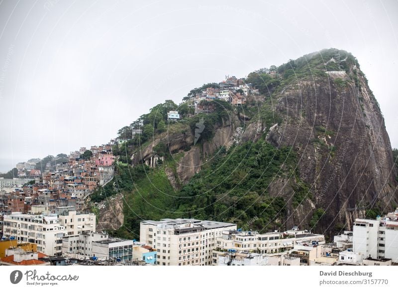Mitten in Rio de Janeiro Ferien & Urlaub & Reisen Städtereise Landschaft Himmel Hügel Stadt überbevölkert Haus Hütte Armut gleich Problemlösung Reichtum