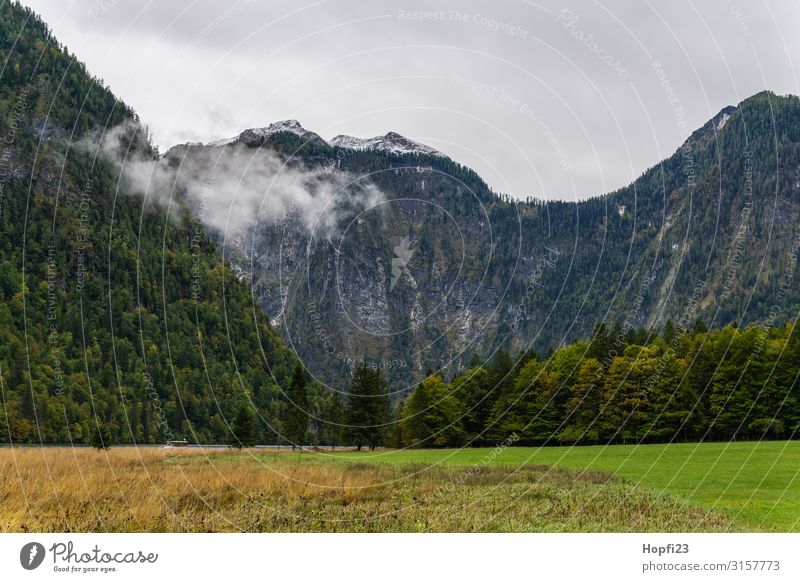 Alpen im Berchtesgadener Land Umwelt Natur Landschaft Pflanze nur Himmel Wolken Herbst Wetter Nebel Baum Gras Wald Felsen Berge u. Gebirge Gipfel Diät Bewegung