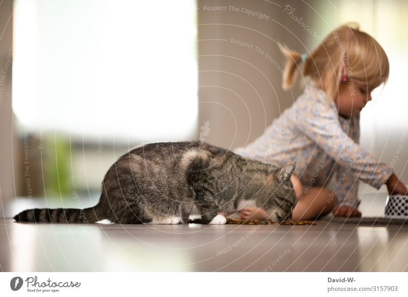 Haustiere sind doch etwas schönes Essen Spielen Häusliches Leben Wohnung Kindererziehung Mensch feminin Kleinkind Kindheit Gesicht 1 1-3 Jahre Tier Katze