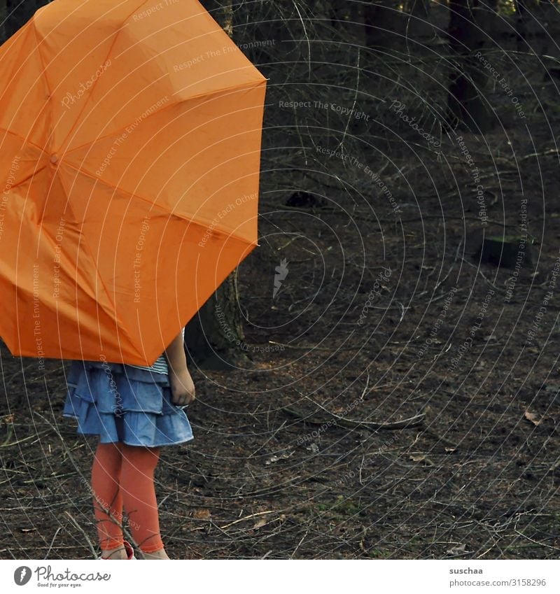 mit schirm im wald Kind Mädchen Schirm Regenschirm Unterholz Wald Baum Ast Waldboden dunkel Einsamkeit einzeln mehrfarbig orange Rock stehen Rotkäppchen