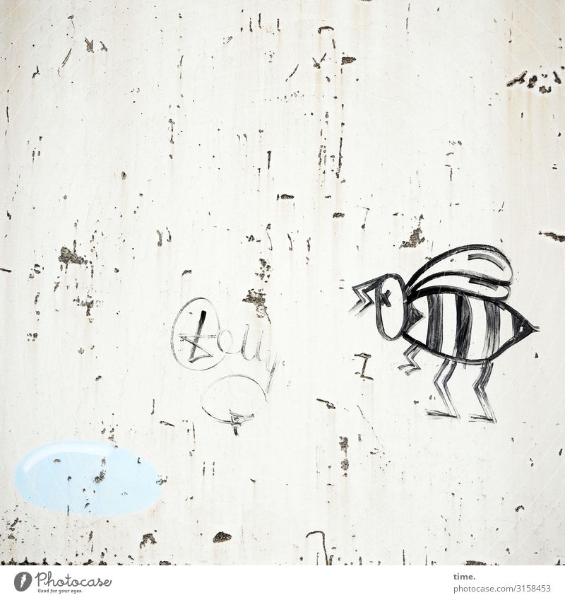 Maja ist sauer Kunst Gemälde Mauer Wand Biene Stein Beton Graffiti Tatkraft Leben Neugier Überraschung Misstrauen Neid Stolz Ärger gereizt Frustration