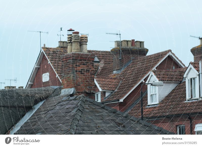 Über den Dächern von Wales Dach Dachfenster Kamine Antennen Haus Fenster Himmel Architektur Dachziegel Schornstein Außenaufnahme Detailaufnahme Gebäude alt