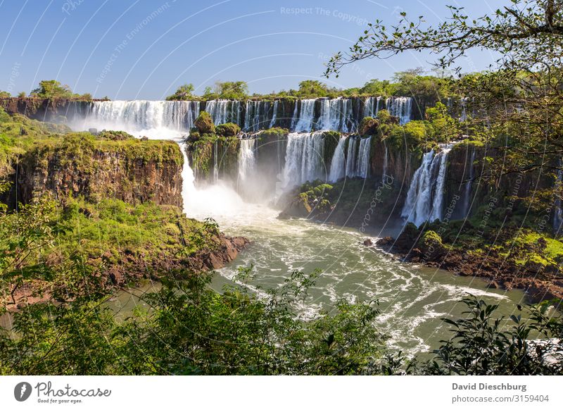 Iguazu Ferien & Urlaub & Reisen Tourismus Abenteuer Expedition Umwelt Natur Landschaft Pflanze Tier Wolkenloser Himmel Schönes Wetter Baum Urwald Wellen
